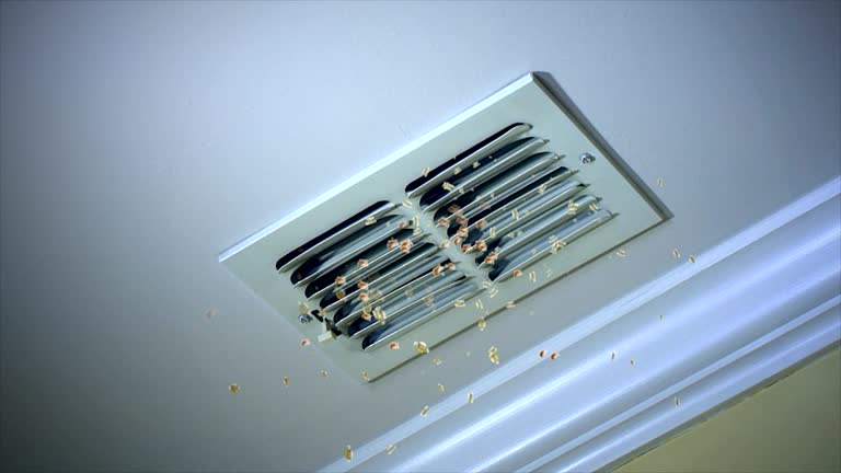 Best Affordable HVAC Duct Cleaning  in Palmetto, GA