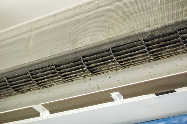 Best Dryer Vent Cleaning Services  in Palmetto, GA